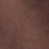 241273407 - MOGANO